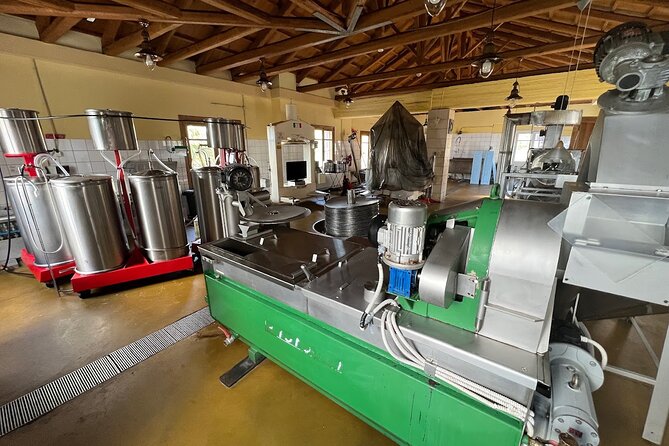 Crete Discovery Palace of Knossos, Wine and Olive Oil Experience - Who will enjoy this day most