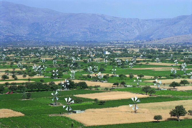 Crete in a Day: Knossos, Soap Workshops, Olive Oil & Wine Tasting - Traditional lunch and the social side of the tour