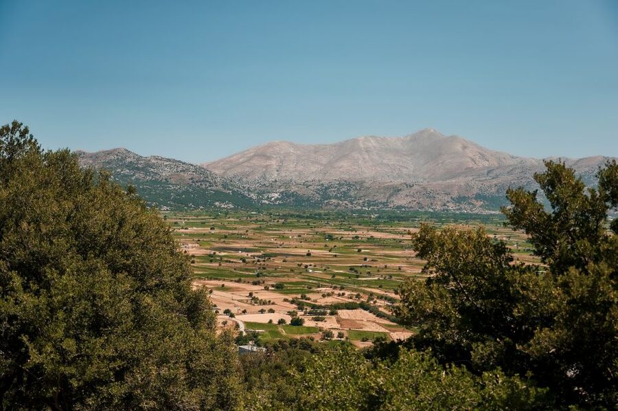 Crete: Knossos Palace and Lassithi Plateau Day Tour - What the $56 price really covers