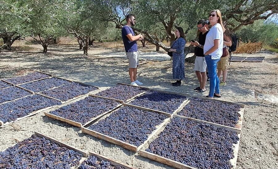 Crete: Knossos Palace, Winery & Olive Oil Tour with Lunch - Who should book this tour