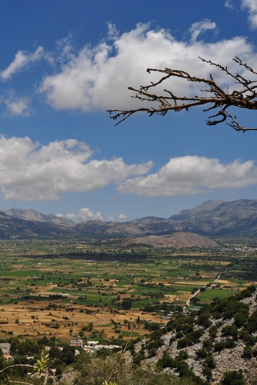 Crete: Lasithi Plateau and Knossos Palace Day Tour - Who should book this Crete tour?