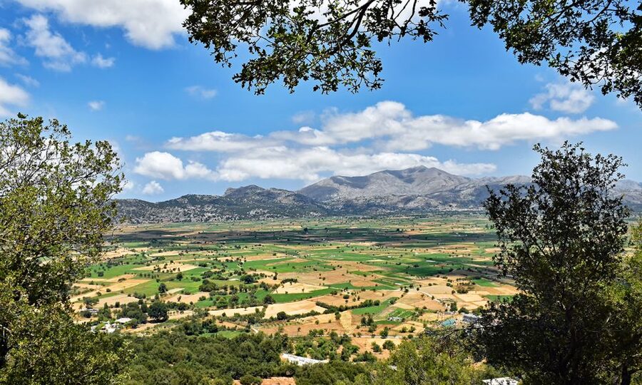 Crete: Lasithi Plateau & Knossos Palace Day Trip - Lunch with views over the plateau
