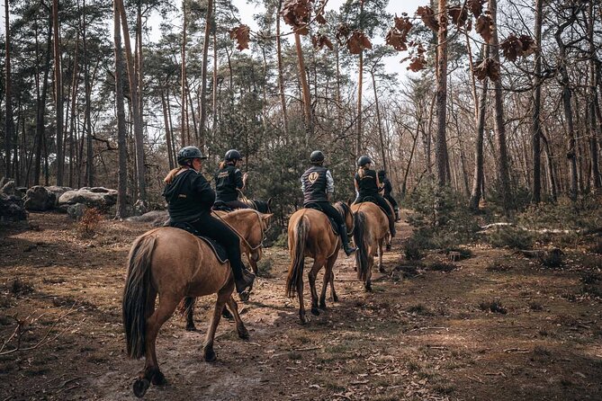 Day Trip to Fontainebleau : Horse Riding, Gastronomy and Castle - Inside the Château de Fontainebleau