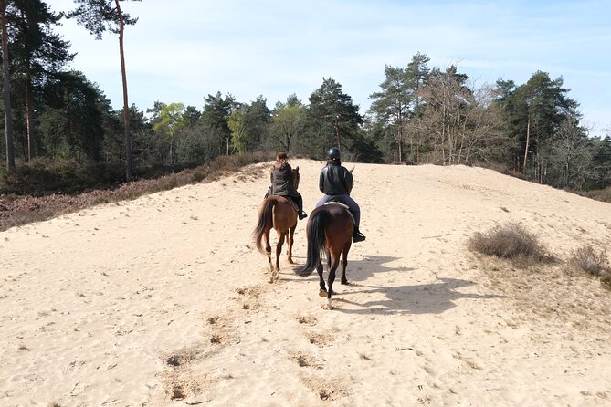 Day Trip to Fontainebleau : Horse Riding, Gastronomy and Castle - Timing, privacy, and the high price