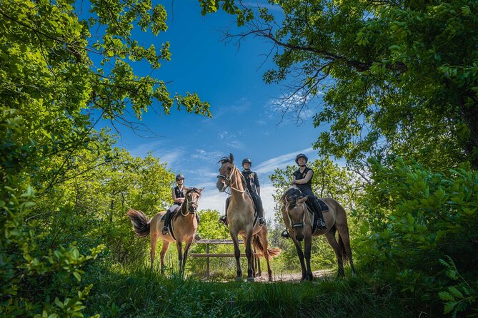 Day Trip to Fontainebleau : Horse Riding, Gastronomy and Castle - A 9 a.m. pickup with pastries from Paris