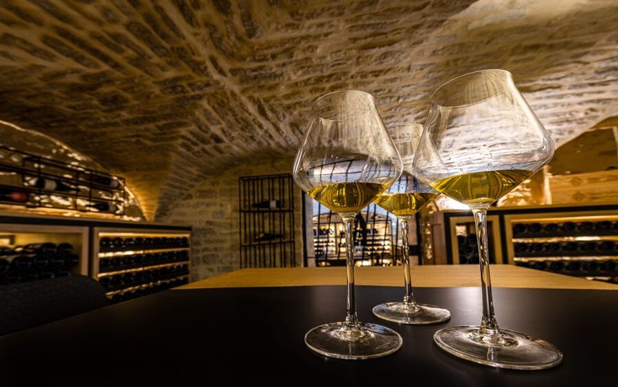 Dijon: La Cave du Palais Burgundy Wine Tasting Experience - Why climates, soil, and aging matter