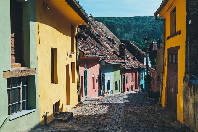 Discover Transylvania: Peles, Bran, Sighisoara in a 2-Day Journey - Bran Castle and the Dracula question