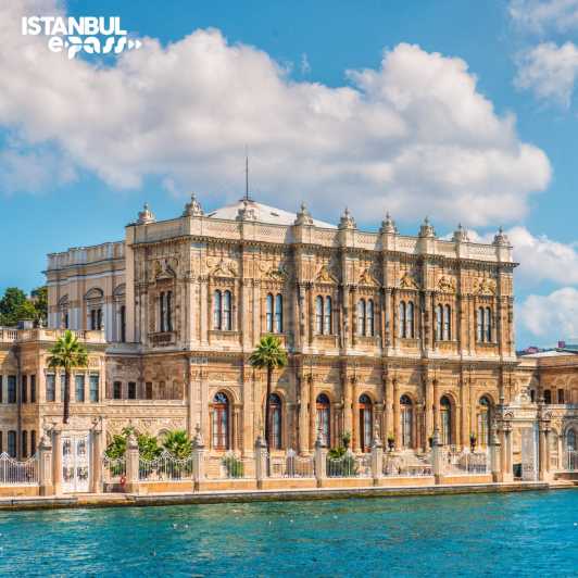 Dolmabahce Palace & Harem Skip-the-Line Entry & Audio Guide - The Selamlik: rooms built for ceremony and display