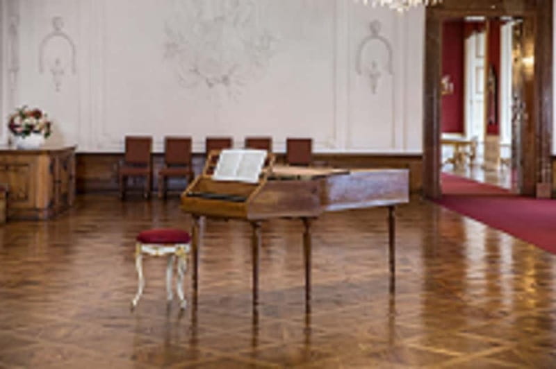 DomQuartier Salzburg: Date with Mozart! Afternoon concerts at the Residenz - Key points to know before booking