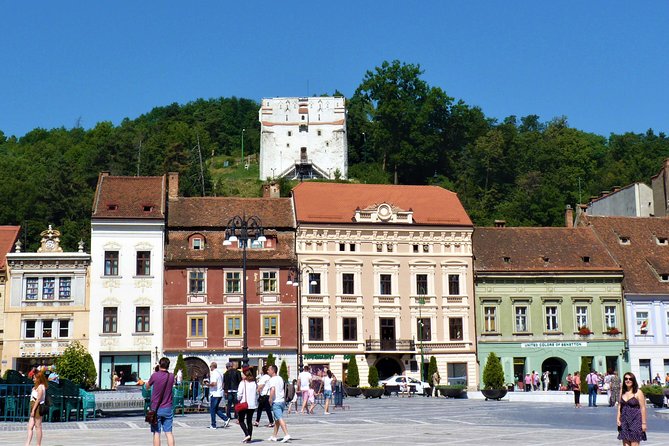 Dracula Castle, Peles and Transylvania, Premium Private Tour - What the private format changes