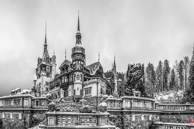 Dracula's Castle, Peles Castle and Brasov - Private Day Trip from Bucharest - Who should book this private day trip?