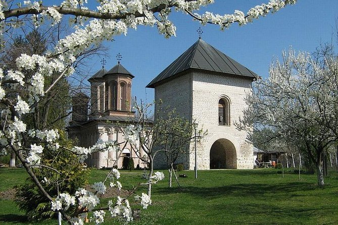 Dracula's Tomb and Mogosoaia Palace, Private Tour from Bucharest - Mogosoaia Palace and Romanian Renaissance design