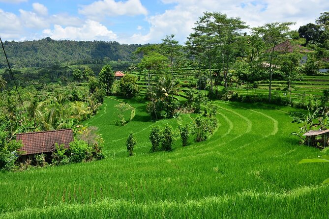 East Bali Tour: Gate of Heaven, Water Palace, Sleeping Gajah - Who will enjoy this East Bali day most?