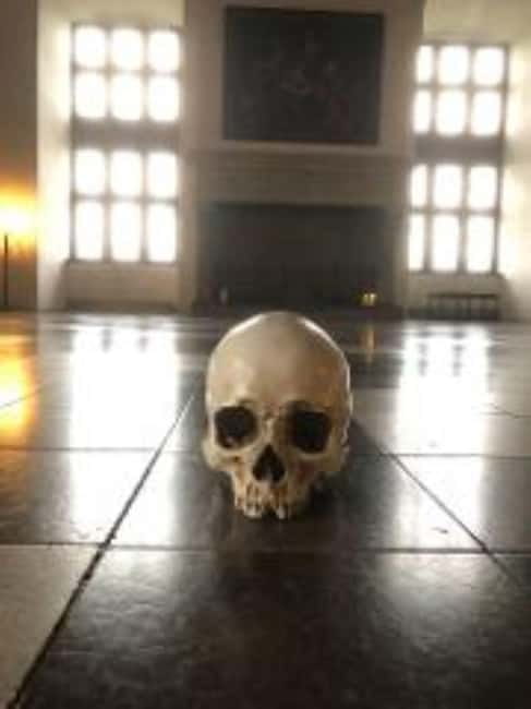 Easy Pace Tour of Kronborg Castle and Frederiksborg Palace - Two royal castles, one relaxed day from Copenhagen