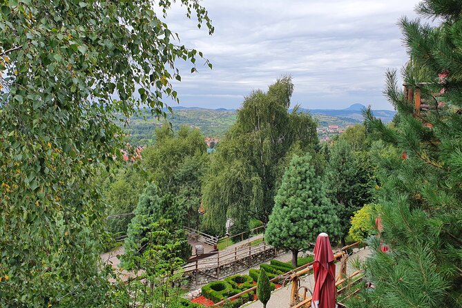Executive Dracula Day Trip - See Bran & Peles Castle, Brasov from Bucharest - What the $367.69 price really buys
