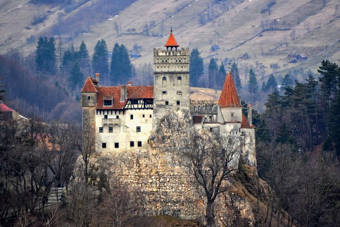 Explore Transylvania: Dracula, Peles Castle & Brasov Private Tour - Why this day trip works from Bucharest