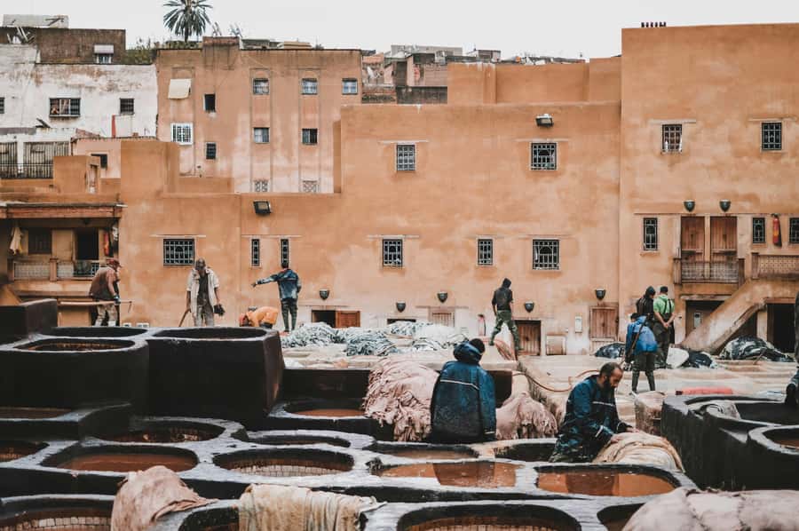 Fes: Royal Palace, Madrasa, Tannery & Souks and Medina Tour - Qarawiyyin and the limits of an exterior visit