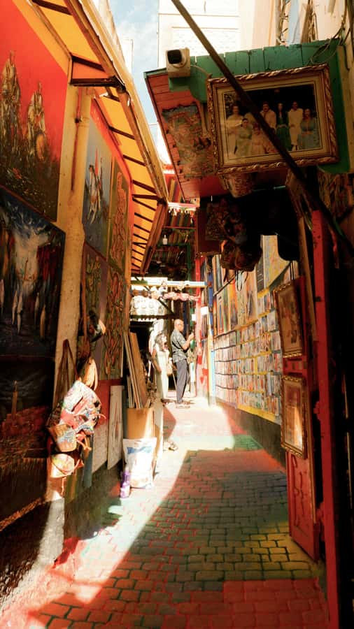 Fes: Royal Palace, Madrasa, Tannery & Souks and Medina Tour - Craft streets where Fes still works by hand