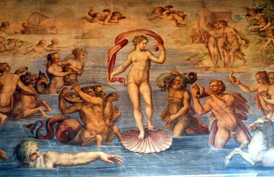 Florence: Palazzo Vecchio Guided Tour - The Medici transformation