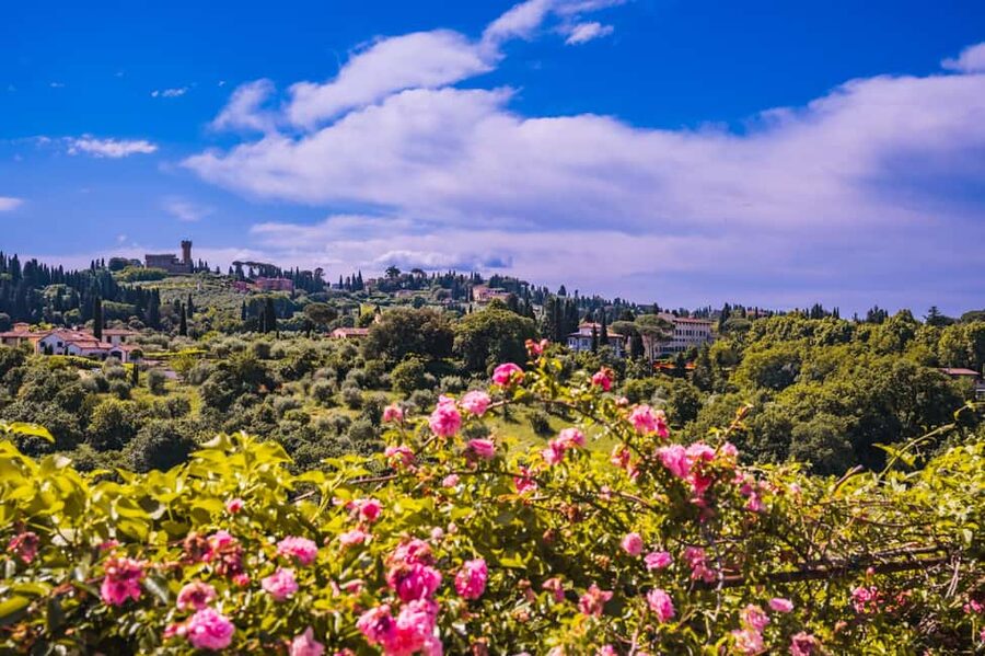 Florence: Pitti Palace and Boboli Gardens Guided Tour - Raphael, Titian, and Caravaggio in the Palatine Gallery