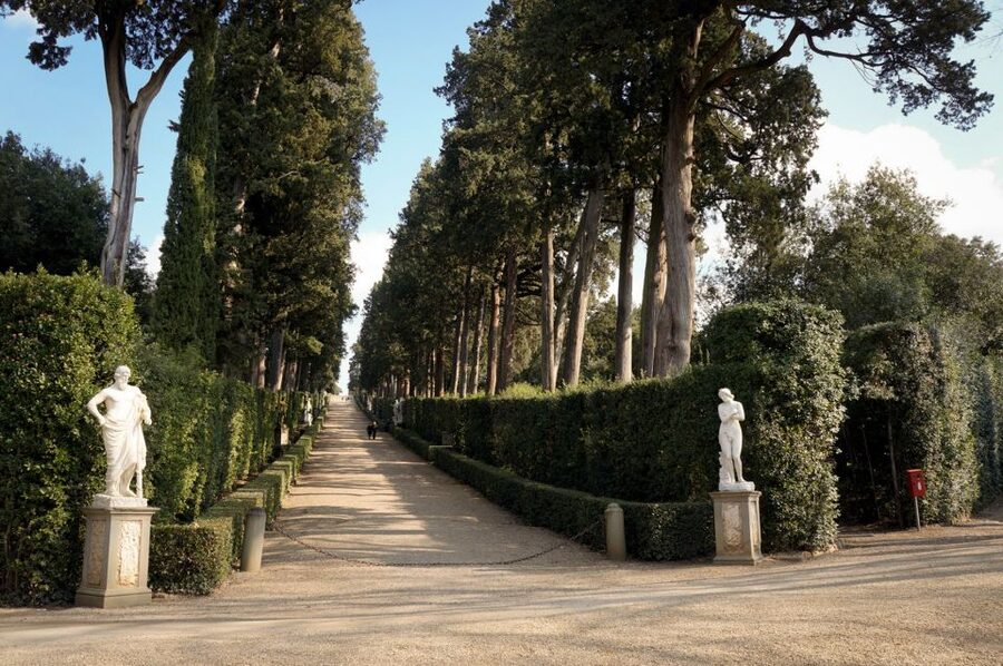 Florence: Pitti Palace Entry Ticket and Guided Walking Tour - After the guided visit: more palace, then Boboli
