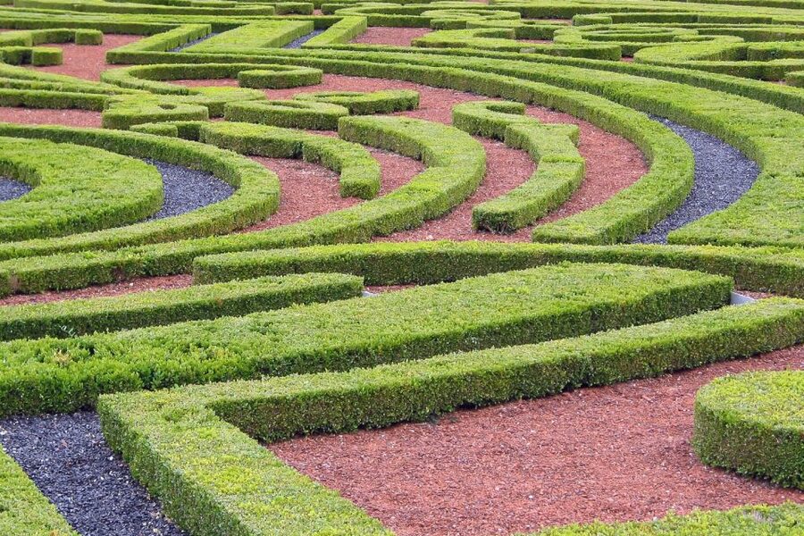 Fontainebleau & Vaux-le-Vicomte Châteaux Day Tour from Paris - What to bring and how to pace the day