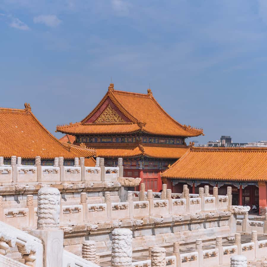 Forbidden City & Mutianyu Great Wall Small Group Day Tour - Choosing between the group and private options