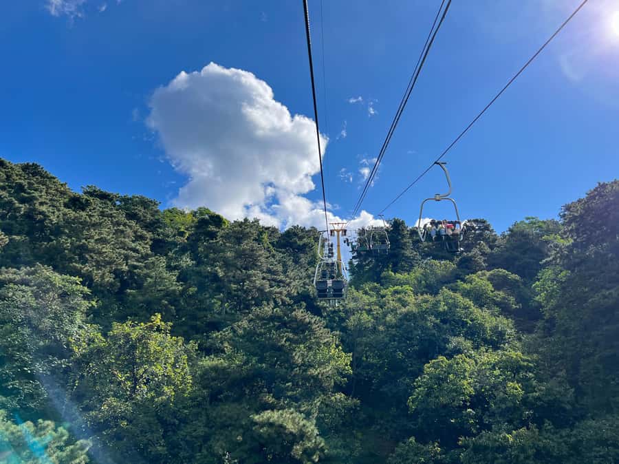 Forbidden City & Mutianyu Great Wall Small Group Day Tour - What the $16 price really buys