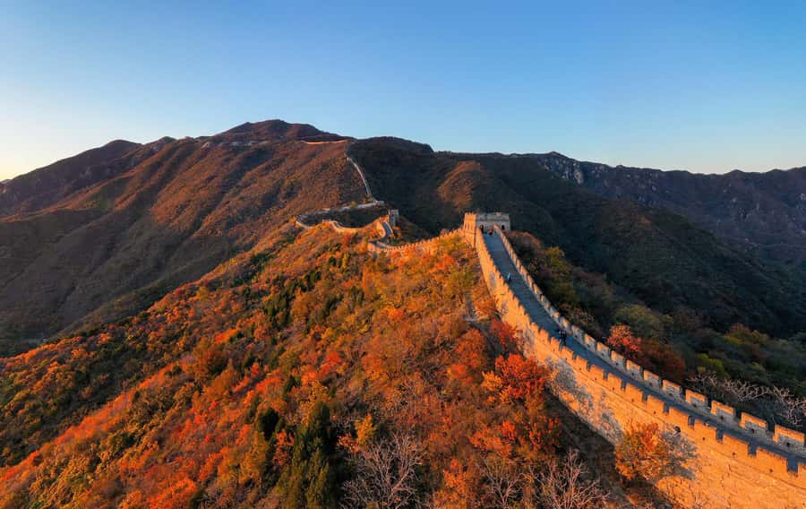 Forbidden City & Mutianyu Great Wall Small Group Day Tour - Practical preparation for the walking day