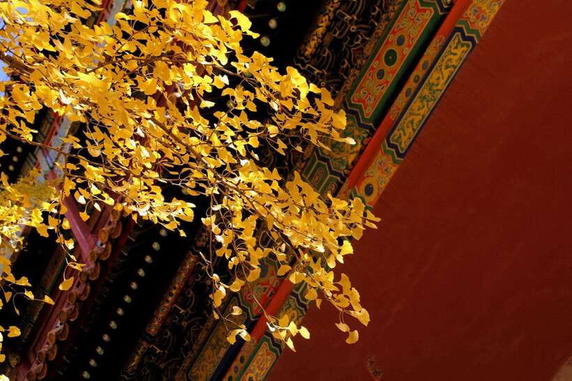 Forbidden City Of Beijing Tickets Booking And Other Option - The details that can make or break your visit
