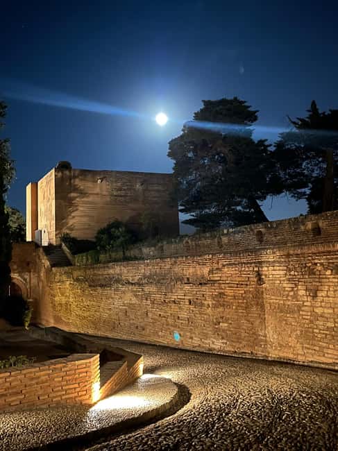 From Almuñécar: Granada Day Trip with Alhambra and Cathedral - From the Costa Tropical to Granada