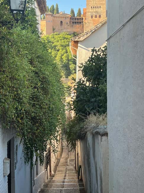 From Almuñécar: Granada Day Trip with Alhambra and Cathedral - How the price works out at $76