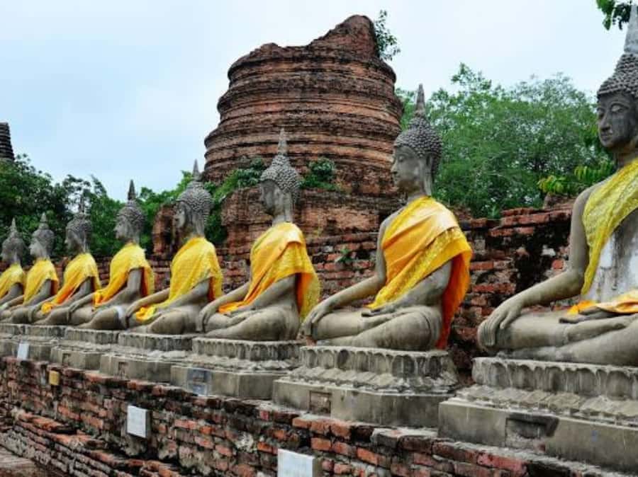 From Bangkok: Ayutthaya Tour, Elephant Palace & Royal Kraal - Key points to know before booking