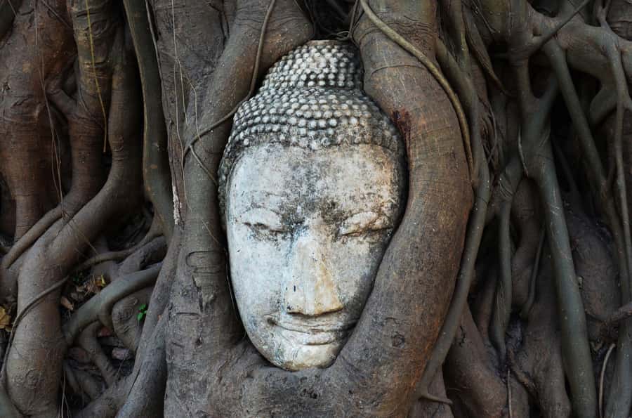 From Bangkok: Bang Pa-In Palace & Ayutthaya Private Trip - The market stop and the ride back to Bangkok