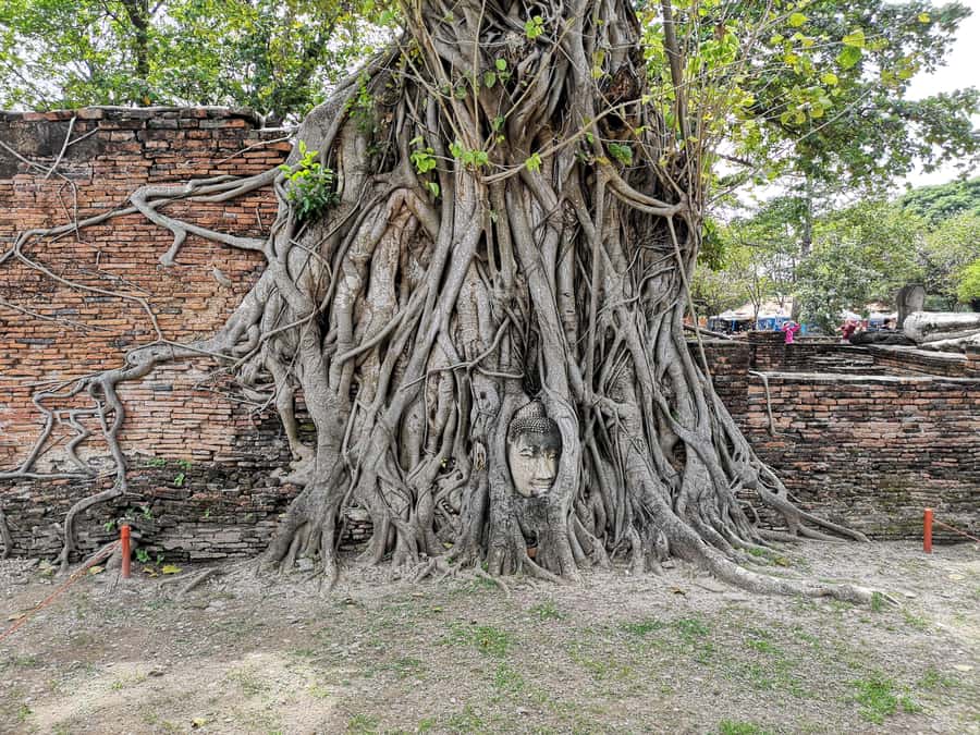 From Bangkok: Private Tour to Ayutthaya & Summer Palace - Ayutthaya Historical Park and the three chedis