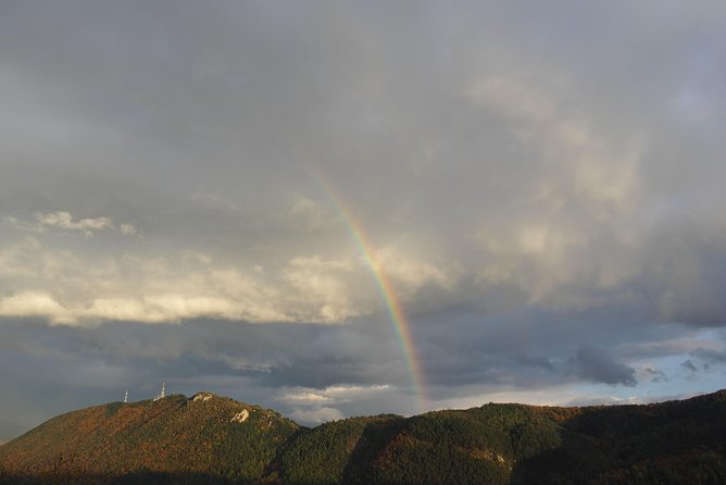 From Brasov: Discover Bran Castle and Râșnov Fortress - Râșnov Fortress: excellent setting, limited access right now