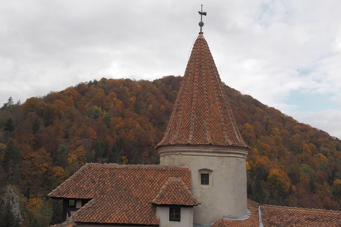 From Brasov: Discover Bran Castle and Râșnov Fortress - What the drive adds to the day