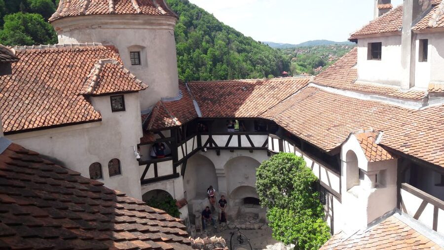 From Brasov: Peles Castle, Bran Castle & Cantacuzino Castle - Key points to know before booking