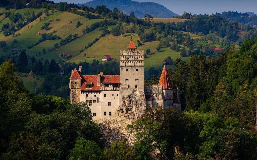 From Brașov: Romanian Castle Tour with Bran and Peles - Peleș Castle, the day’s grand interior