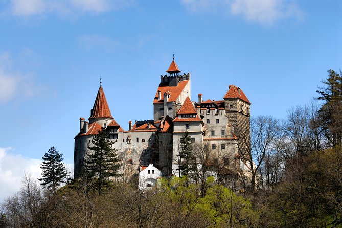 From Brasov: Small-group tour Bran, Rasnov, and Peles Castles - Three castles, three very different moods
