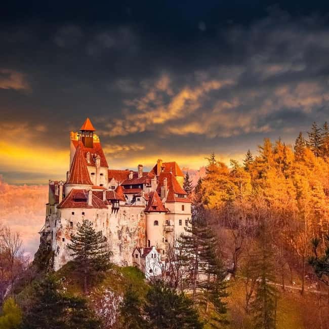 From Brasov Top Highlights Bran, Peles, Cantacuzino, Sinaia - The road between Bran and Peleș