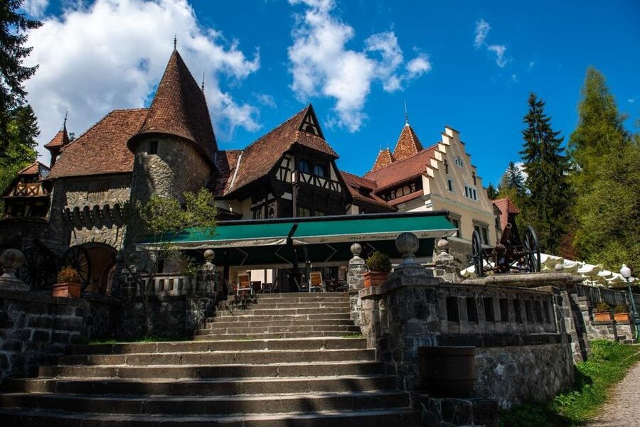 From Bucharest: Brasov Peles & Dracula's Castle Day Tour - Leaving Bucharest early for the Carpathians