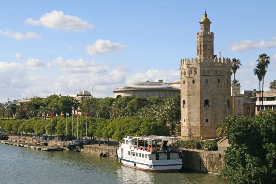 From Cadiz: Private Seville Day Trip, Cathedral & Alcazar - Who will get the most from this day trip?