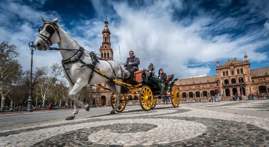 From Costa del Sol: Seville and Royal Alcázar Palace - Key points to know before booking