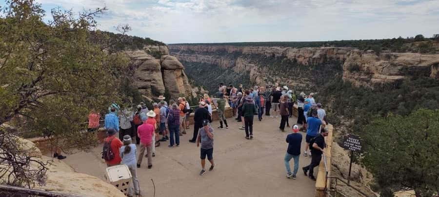 From Durango: Mesa Verde Express Tour & Cliff Palace Ticket - A close look at the 45-minute Cliff Palace visit