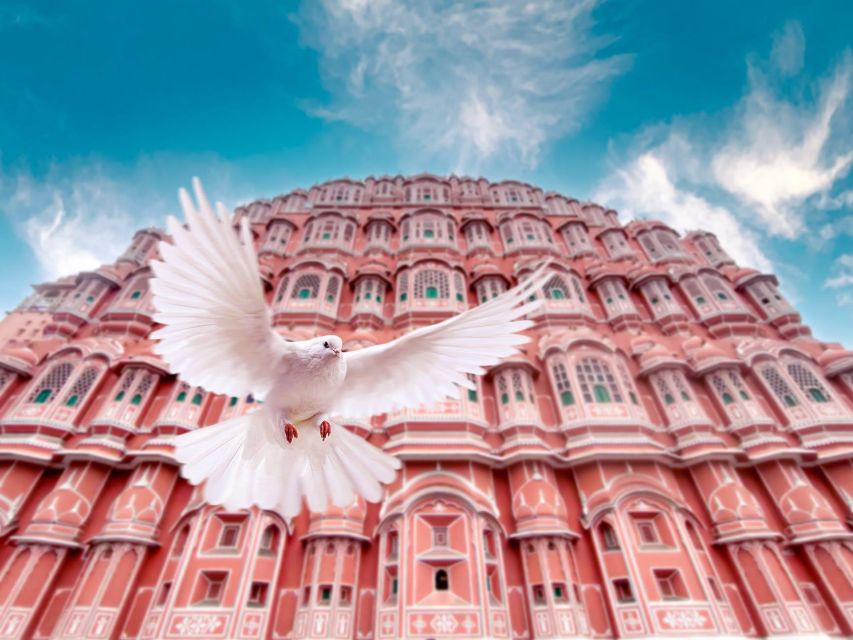 From Jaipur: Private Amber Fort, Jal Mahal and More Car Tour - Why a private Jaipur day makes sense