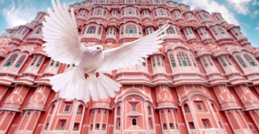 From Jaipur: Private Amber Fort, Jal Mahal and More Car Tour - City Palace and the royal rooms
