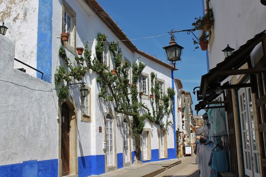 From Lisbon: Óbidos and Mafra Palace Private Tour - Óbidos, a village made for wandering