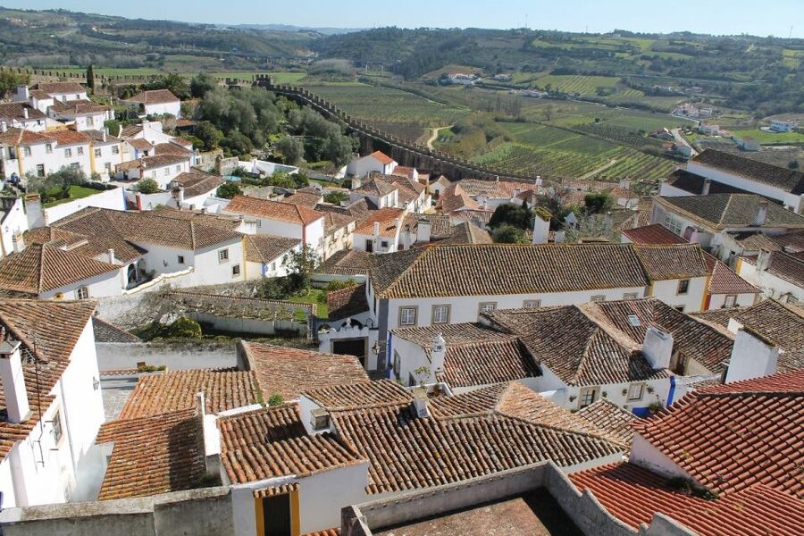 From Lisbon: Óbidos and Mafra Palace Private Tour - Who will enjoy this tour most