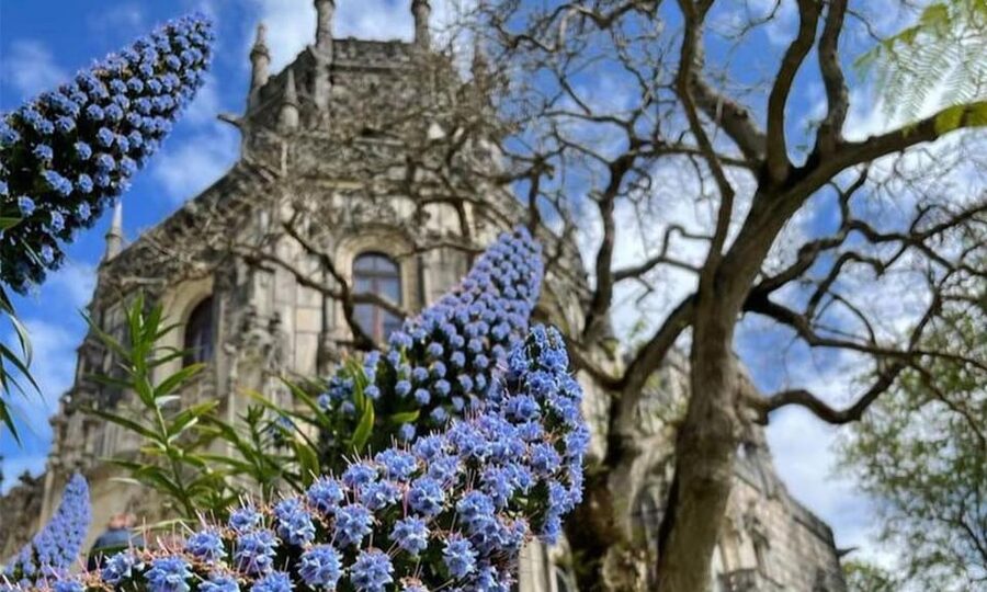 From Lisbon: Sintra, Pena Palace and Regaleira Day Trip - The guides are a major part of the day